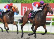 Ronnie Brown heads towards his fourth win at Kranji.<br>Photo by Singapore Turf Club